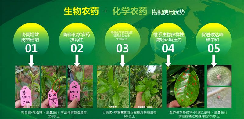 新朝陽在第六屆中國農藥行業(yè)市場和銷售高峰論壇做“生物農藥+化學農藥，引領植保市場未來”主題報告
