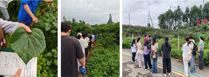 首個！中國農(nóng)業(yè)大學(xué)攜手新朝陽啟動“朝陽稼穡計劃”